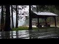 Relaxing Sound of Rain in the Dark Forest ☔️🌳 Rain ASMR Sleep, Relax, Nap