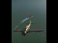 Japanese Zero Bomber in action at #Pearl Harbor #ww2 😲😲#shorts (war thunder)