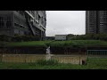 Walking in the Rain ASMR Along Old Railway Tracks Singapore : Rail Corridor : Raindrops on Umbrella