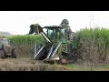 John Deere CH570 cutting green cane