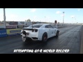 ALPHA G GTR - The BATTLE for a World Record!