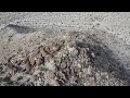 Exploring the California Desert from Above: A Drone Adventure