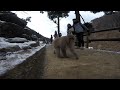 Snow monkey Japan like a boss!!!