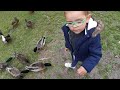 Feeding the ducks at the park