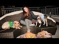 Ariana and her dogs pt 2
