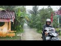 Heavy Rain and Strong Winds for Long Time in Village Life | Rain Sounds Introduction Sleeping