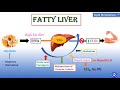 6: Triacylglycerol Metabolism | Lipid Metabolism-6 | Biochemistry | N'JOY Biochemistry