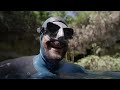 FREEFALL a freediver’s journey into the heart of the cenotes - Tulum, Mexico