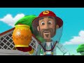 PAW Patrol |Aventuras y rescates de animales bebés de PAW Patrol Con Marshall 🐥 Nick Jr. en Español