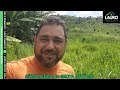 VENDE SÍTIO MANGA DA GROTA POTÉ MG #NATUREZA #CAMPO #AGRICULTURA