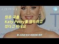 그녀가 가발을 쓰고 다니는 이유ㅣSia(시아) 이야기