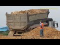 ឡានយីឌុបចាក់ដីធ្វើផ្លូវ Construction Equipment Dump Truck Dozer Motor Grader Roller Build Big Road