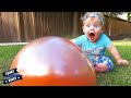 Babies Balloons Pop - Naughty Babies Have Fun Time With Balloons || Funny Vines