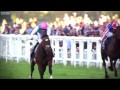 Frankel - The Perfect Racehorse