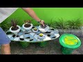 Cement ideas that so Easy - DIY simple Coffee table, Chair, Flower pots at home