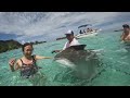 Swimming with Black Tipped Sharks and Sting Rays in Moorea 2023