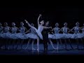 William Bracewell ~ The Royal Ballet