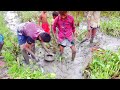 VILLAGE TRADITIONAL FISHING VIDEO | FISHING EXPLORE | FISHING VIDEO