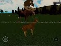 Life of a deer