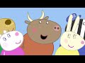 Peppa And Suzy's Secret Club 🤫 | Peppa Pig Official Full Episodes