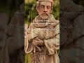 In memorial of St. Francis of Assisi 🕊️ #stfrancisofassisi