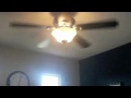 Ceiling Fans In My House