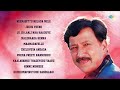 Greatest Hits of Actor Vishnuvardhan | Vishnuvardhan's Musical Heritage | Neerabittu Nelada Mele