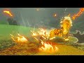Tears of the Kingdom - Challenge Mode | The Golden Lynel