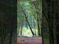 Venbergse watermolen   leenderbos  Eindhoven