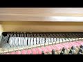 Dual soft pedal systems on an old grand piano