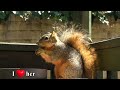 The Sweetest Squirrel