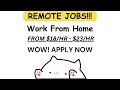 Angy Cat Remote Job Openings