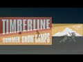 Summer Youth Performance Racing Camp at Timberline