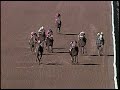 1999 Whitney Handicap