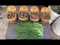 New Method For Grow Green Onions in Recycled Plastic Bottles | Growing Onions At Home