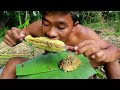 Survival In The Rainforest - BAMBOO SHOOTS - CUTE PARROT - BEES