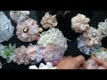 How to make Lace Flowers, DIY, Shabby fabric flower tutorial, wedding flowers, no sew, easy circle