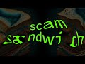 Trolling Smug Scammers With Their Webcam On