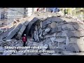 What Parts Of Turkey And Syria Look Like After Powerful Earthquake Kills Thousands | Insider News