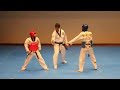 Most funniest fight of taekwondo in the world.