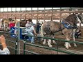 Tractor show  “horse pulls”