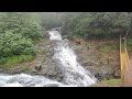 Andharban Jungle Trek I Dark Forest Trek I Andharban Valley View Point I Hill Station In Maharashtra