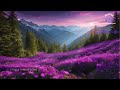 Relaxing Piano Music to Help You Sleep and Reduce Anxiety Meditation Relax