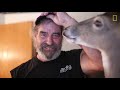 Dillie the Deer: Love on Tiny Hooves | National Geographic
