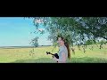 Пиріг і Батіг - Гаї шумлять | Violin Cover (LYRICS)