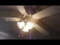 Seagull Lighting Main Street ceiling fan (3 light-kit) in the family room