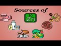 The True Nutrients - Zinc