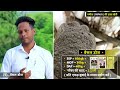 Papita ki kheti | पपीता की खेती | Papaya farming | Papita ki kheti kaise karen | A to Z Information