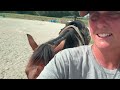 Horse Food Haul and Working Horses