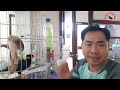 Phụ Kiện Nuôi Chim (Rất Cần Cho Người Bận Rộn) II Must-have bird keeping accessories@KhiNguyen Vlog